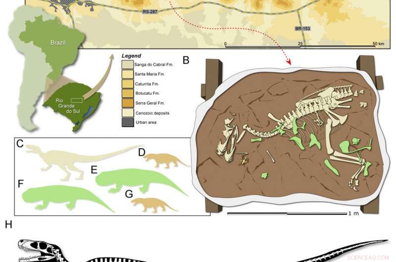 Brazil Discovers Ancient Carnivorous Dinosaur Fossil, Earliest Known of Its Kind