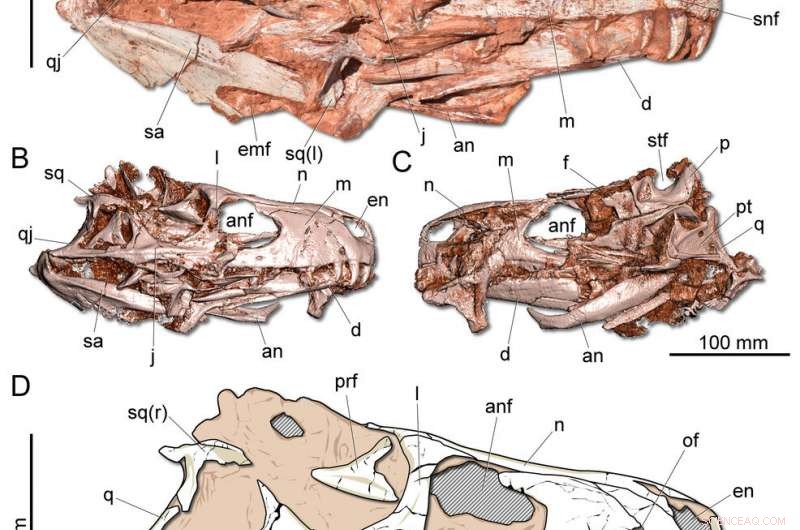 Brazil Discovers Ancient Carnivorous Dinosaur Fossil, Earliest Known of Its Kind