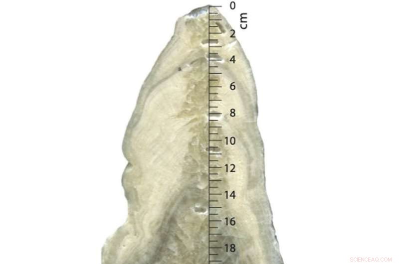 How Climate Change Sparked the Rise and Fall of the Neo‑Assyrian Empire, Ancient World s Leading Superpower