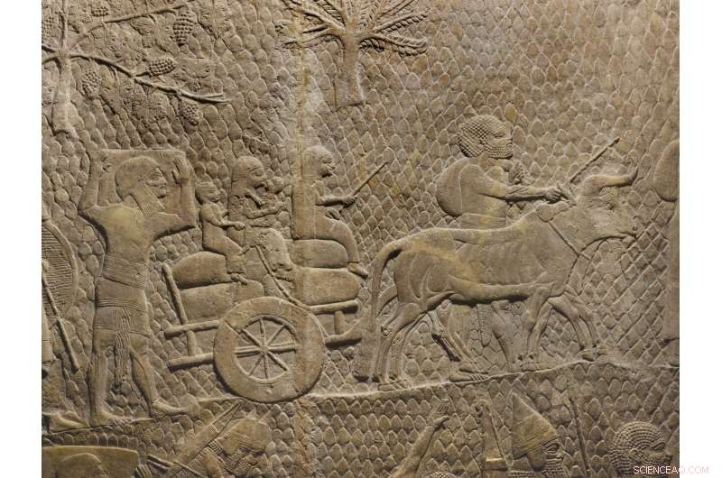 Unraveling the Collapse of the Great Assyrian Empire: Expert Insights