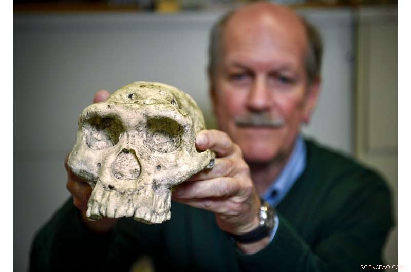 UNT Professor Pioneers Breakthrough in Fossil Identification, Revolutionizing Paleontological Research