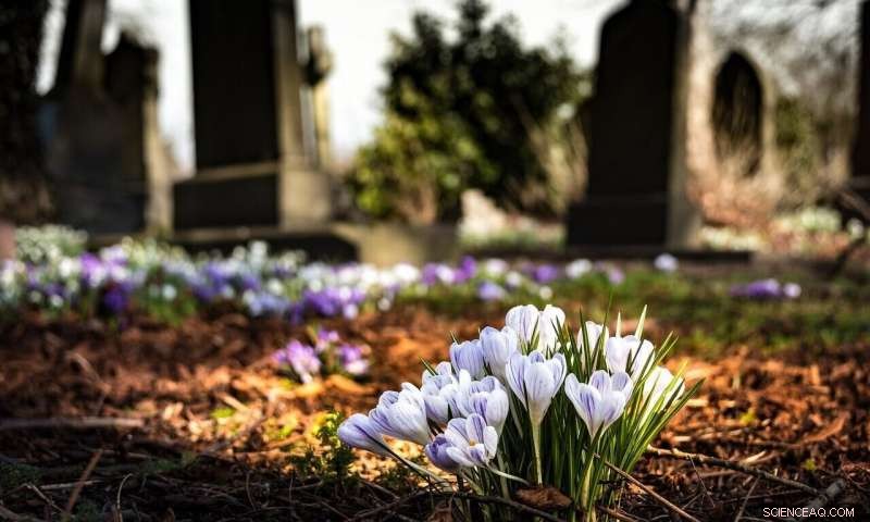 Gender Inequality Persists Among Deceased Celebrities, New Study Reveals