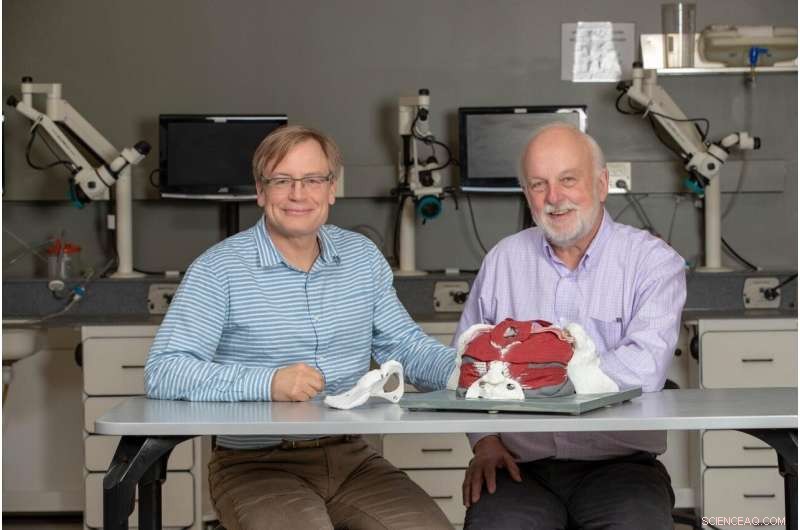 Traditional Anatomy Teaching Surpasses VR and Mixed Reality, Study Finds