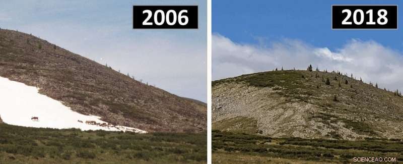 Melting Year‑Long Ice Threatens Mongolia’s Reindeer Herding Communities