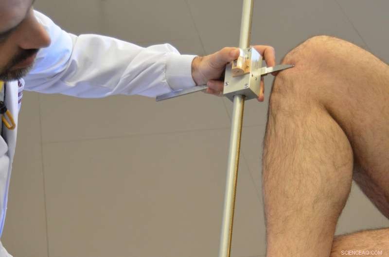 Accurate Stature Estimation: New Tibial Length Equations for Forensic Anthropology