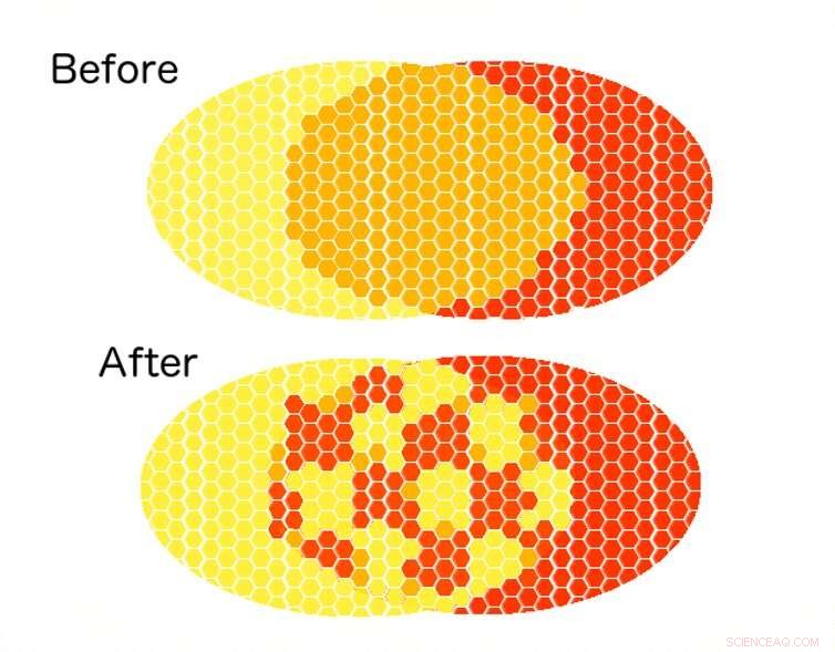 Ice Age Megafauna Extinction Shaped Modern Wildlife Distribution