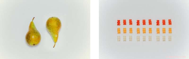 Uncovering Holiday Marketing Tactics: How Supermarkets Influence Snack Choices