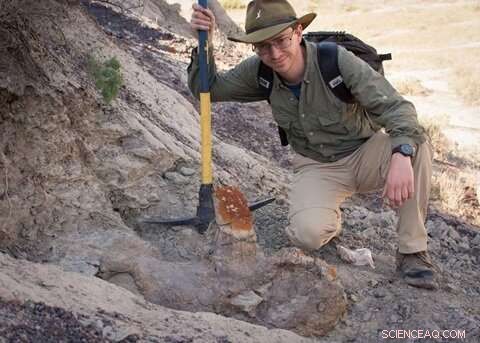 Styracosaurus Skull Reveals New Insights into Horned Dinosaur Identification