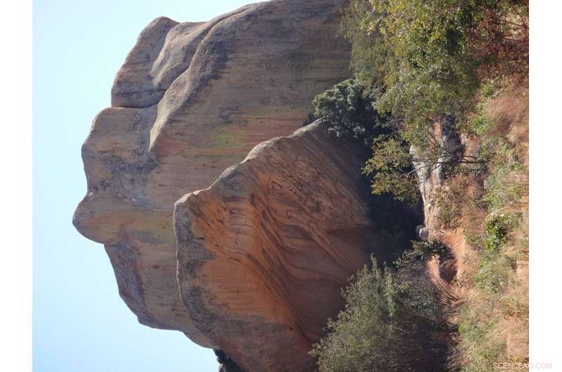 Uncovering 10,000 Years of African Cultural Exchange Through Ostrich Eggshell Beads