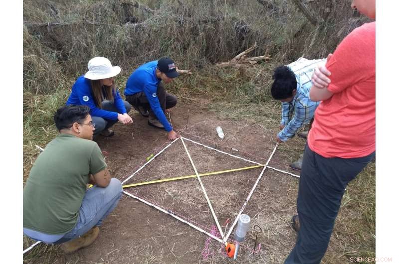 New Study Decodes Ancient Puerto Rican Clam Barbecue Techniques