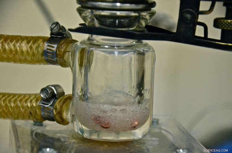 New Study Decodes Ancient Puerto Rican Clam Barbecue Techniques