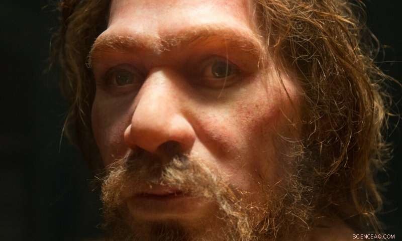 Small Populations, Inbreeding, and Demographic Shifts: Key Factors in Neanderthal Extinction