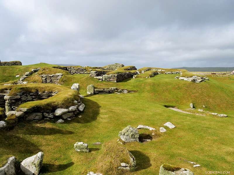 The Plague’s Impact on Bronze Age Europe: Genetic, Cultural, and Demographic Transformations