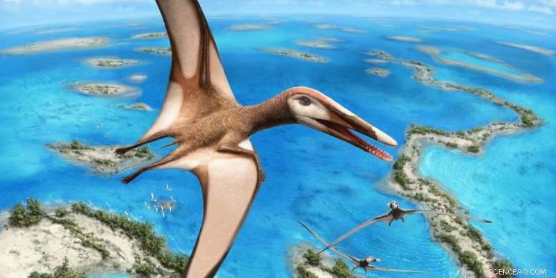 New 95-Million-Year-Old Fossil Uncovers Distinct Pterosaur Group