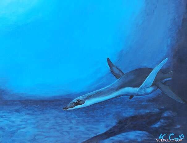 Plesiosaur Blood Cell Size Revealed Rapid Evolution—Insights from Recent Fossil Research