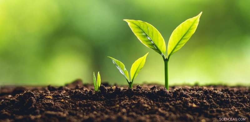 How a Thriving Ecosystem Drives Start‑Up Success