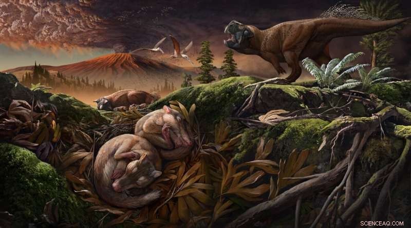 New Cretaceous Mammal Reveals Early Separation of Hearing and Chewing Modules