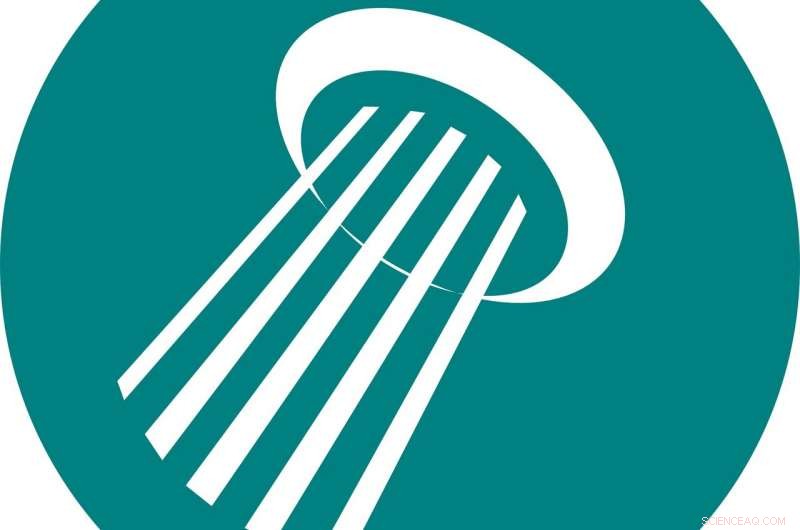 Water Metering Cuts Consumption by 20%, Yet Only High‑Income Households See Financial Gains