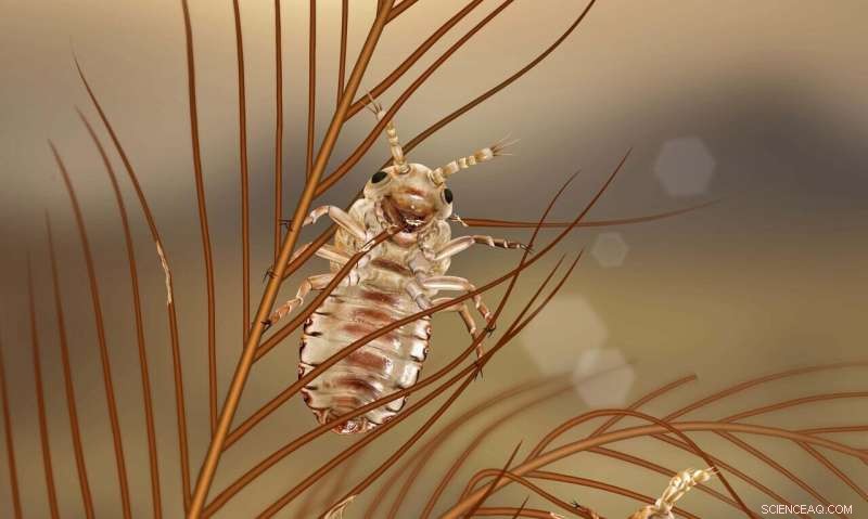Ancient Lice‑Like Insects Unearthed Feeding on Dinosaur Feathers