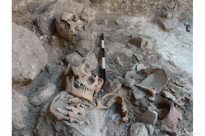 Isotope Analysis Reveals Former Mayan POWs in Uxul Reservoir