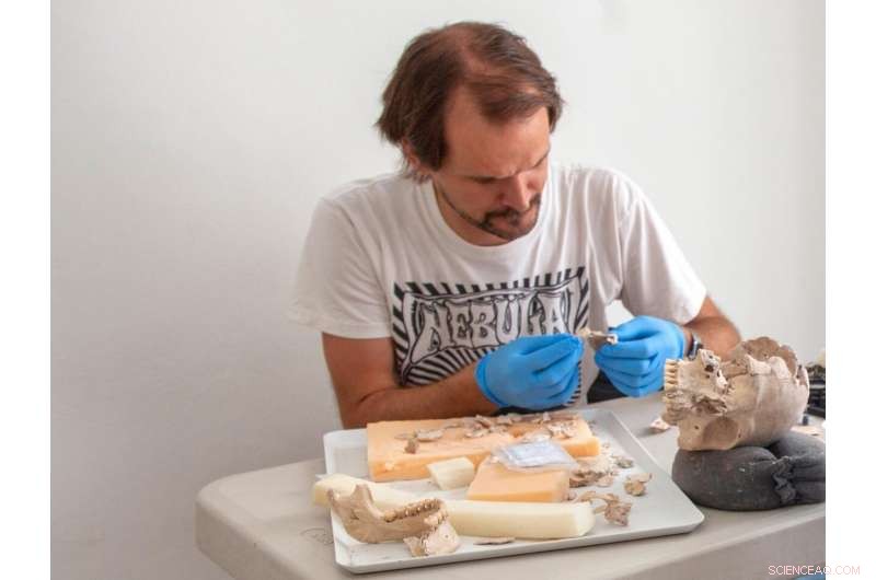 Isotope Analysis Reveals Former Mayan POWs in Uxul Reservoir