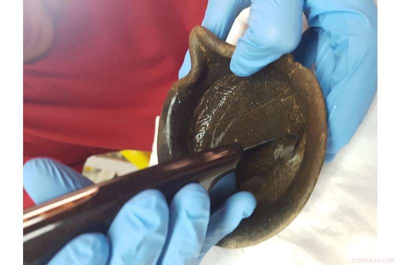 New Study Decodes Ancient Diets Using Artifact Analysis