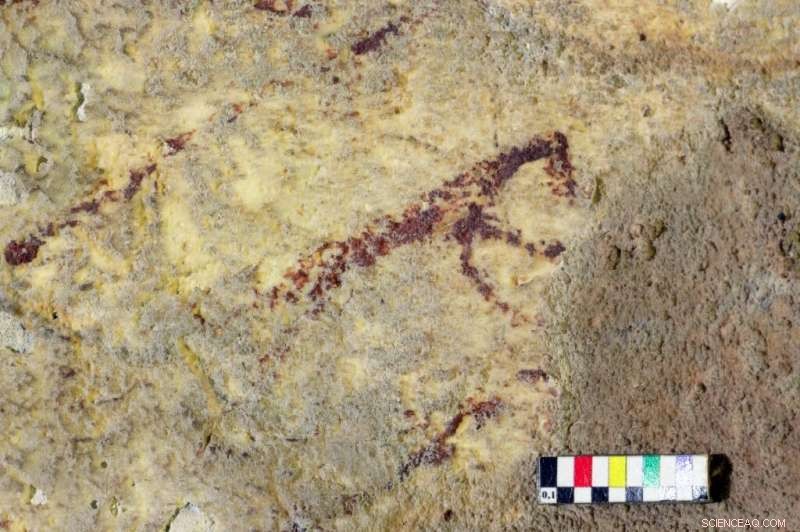 New Study Reveals 44,000-Year-Old Cave Painting: World s Oldest Figurative Art