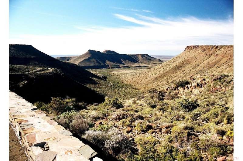 New Study Reveals End‑Permian Extinction: Marine and Terrestrial Losses Were Not Simultaneous