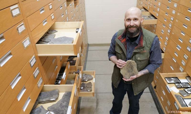 Ancient Plant Fossils Reveal Former Dense Forests on Canada’s Northern Tundra