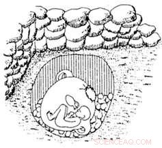 The Value and Vulnerability of Children in Ancient Middle East: Lessons for Today