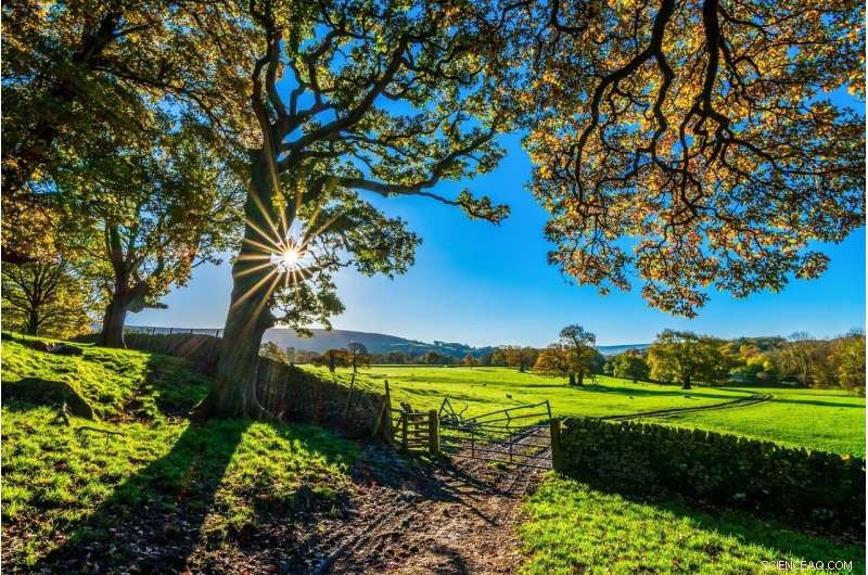 Farmers Ranked as Most Trusted Segment of UK Food Chain in Latest Consumer Survey