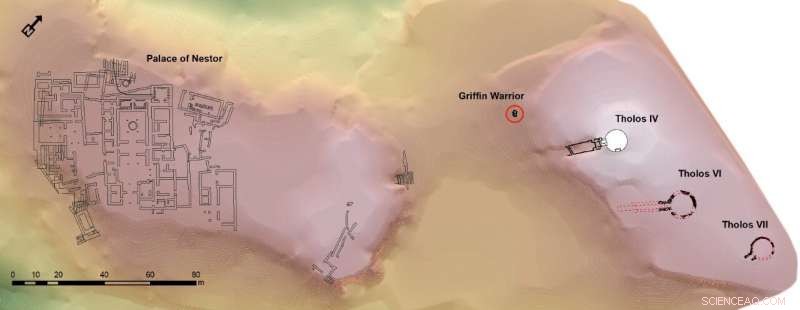 Gold‑Lined Bronze Age Tombs Revealed: Ancient Greek Artifacts Show Early Domestication