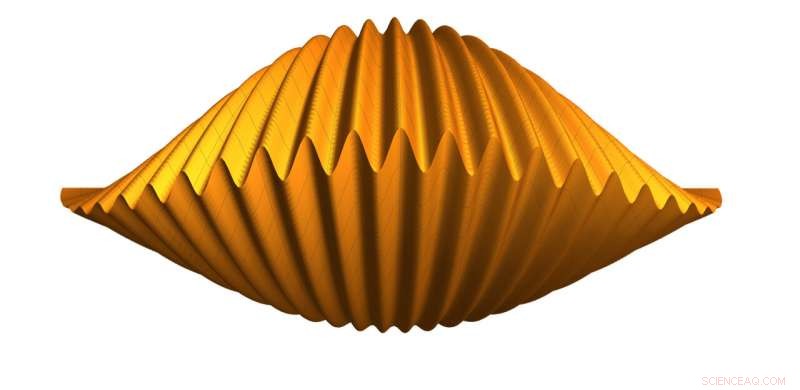 Mathematics & Mechanics Reveal Why Bivalve Shells Interlock Perfectly