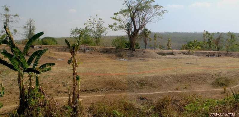 Reexamining the Extinction of Homo erectus: Insights from Ngandong Finds