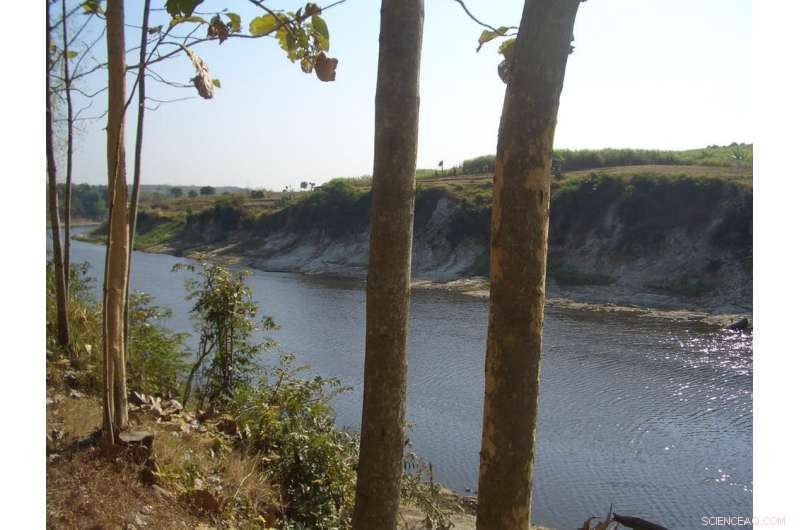 Reexamining the Extinction of Homo erectus: Insights from Ngandong Finds