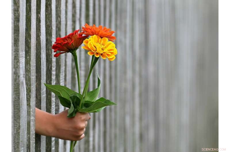 Study Finds Money Doesn t Buy Happiness or Encourage Generosity