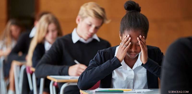 Perfectionist Students Achieve Higher Grades—Discover the Hidden Trade‑Offs