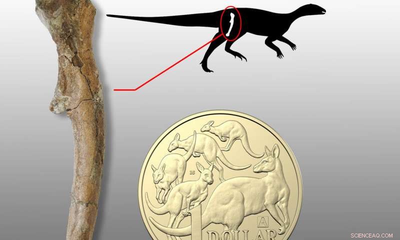 First Baby Dinosaurs Unearthed in Australia: Tiny Fossils Revealed