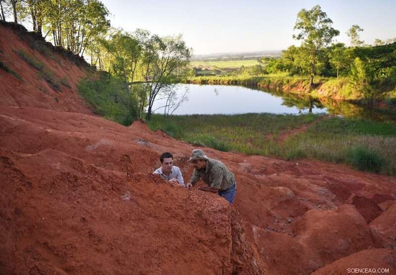 Triassic Wonders of Brazil s Pampas: Rediscovering an Ancient Dinosaur Legacy