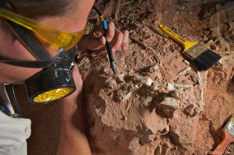 Triassic Wonders of Brazil s Pampas: Rediscovering an Ancient Dinosaur Legacy