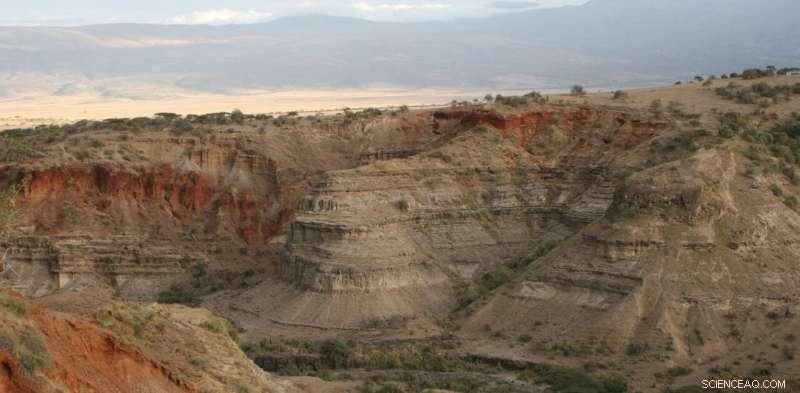 Rapid Archaeological Discoveries Accelerate Understanding of Human Origins