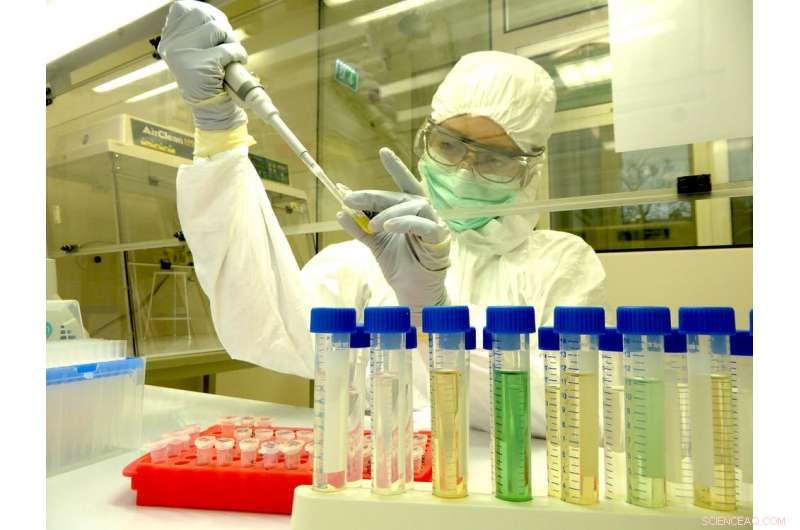 Rapid Archaeological Discoveries Accelerate Understanding of Human Origins