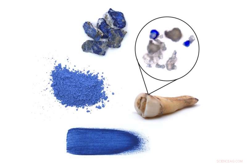 Rapid Archaeological Discoveries Accelerate Understanding of Human Origins