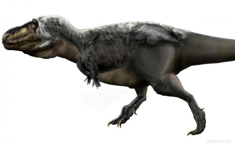 New Study Sheds Light on the Growth and Development of Juvenile Tyrannosaurus rex