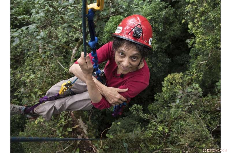 Forest Ecologist Reimagines Barbie Dolls to Inspire Young Scientists