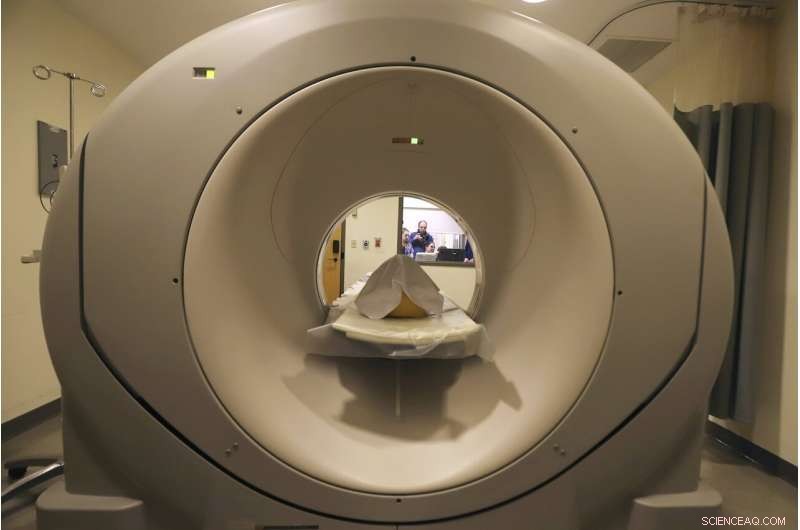 Advanced CT Scans Reveal Possible Revolutionary War Soldiers in 18th‑Century Skeletons