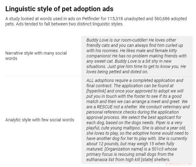 Mastering Pet Adoption Ads: Crafting Persuasive, Trustworthy Listings That Boost Adoption Rates