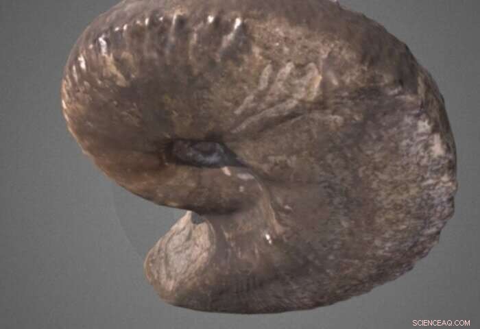 Digital Atlas of Ancient Life Expands to Cover the Cretaceous Period