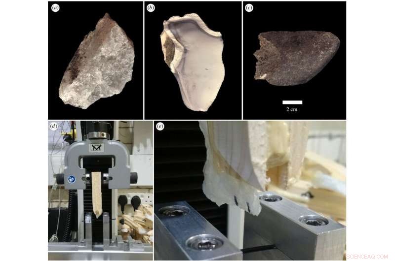 New Evidence Shows Early Humans Engineered Advanced Stone Tools at Olduvai Gorge