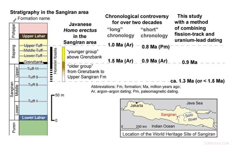 New Volcanic Ash Dating Reveals Later Arrival of Homo erectus at Sangiran